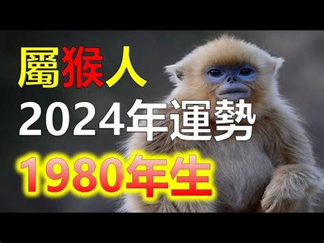 1980屬猴幸運色2023|1980年属猴人2023年运势及运程 80年43岁生肖猴2023年每月运。